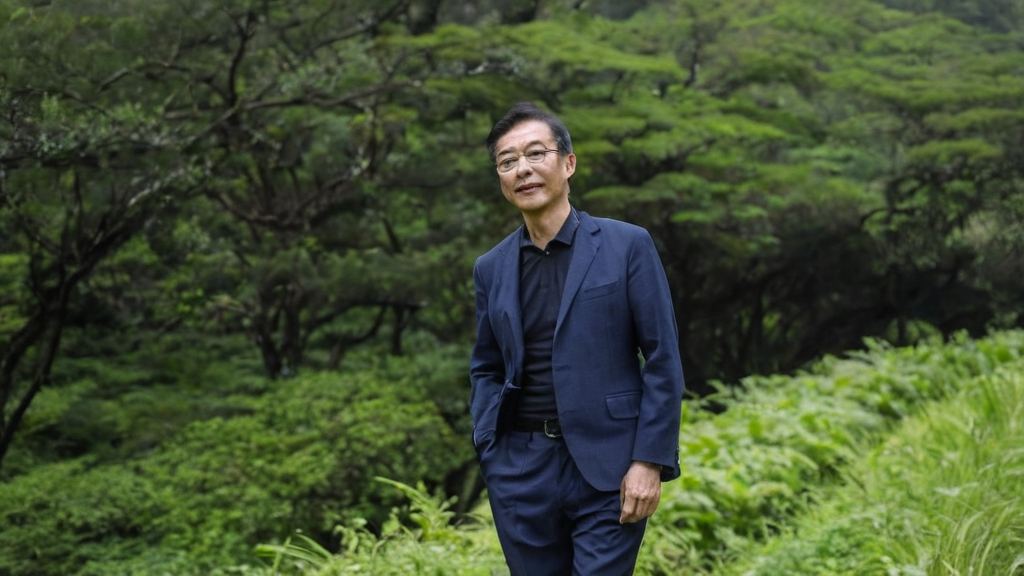 那些光鲜亮丽的明星图片捕捉到龚蓓苾低颦浅笑如油画令人惊艳